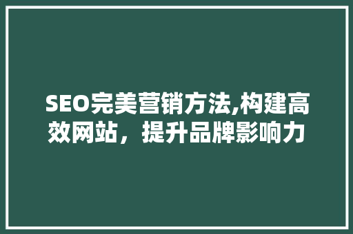 SEO完美营销方法,构建高效网站，提升品牌影响力