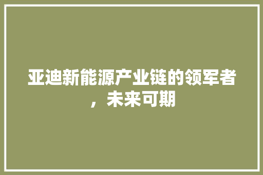 亚迪新能源产业链的领军者，未来可期