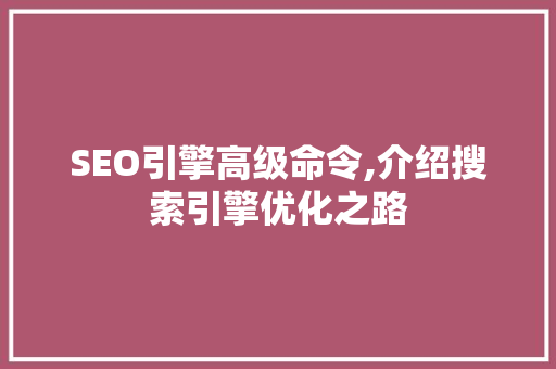 SEO引擎高级命令,介绍搜索引擎优化之路