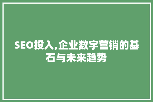 SEO投入,企业数字营销的基石与未来趋势