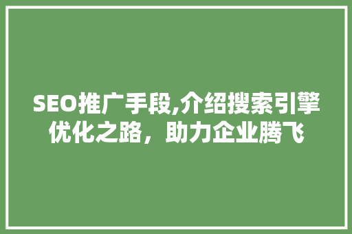 SEO推广手段,介绍搜索引擎优化之路，助力企业腾飞