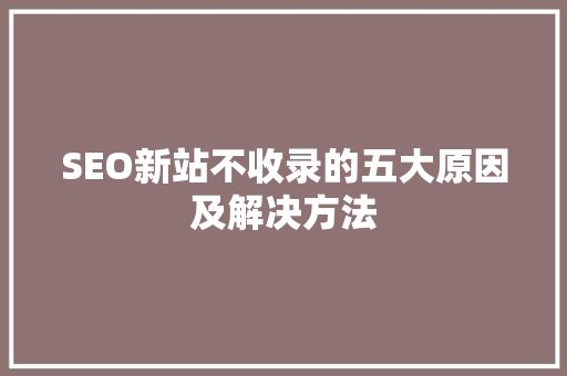 SEO新站不收录的五大原因及解决方法