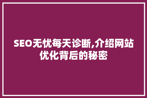 SEO无忧每天诊断,介绍网站优化背后的秘密