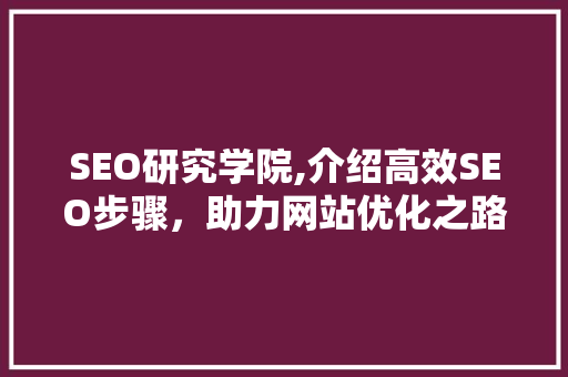 SEO研究学院,介绍高效SEO步骤，助力网站优化之路