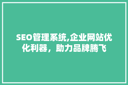 SEO管理系统,企业网站优化利器，助力品牌腾飞  第1张