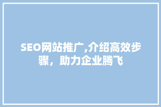 SEO网站推广,介绍高效步骤，助力企业腾飞