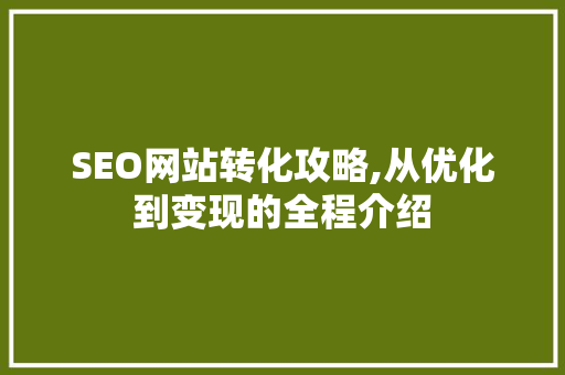 SEO网站转化攻略,从优化到变现的全程介绍