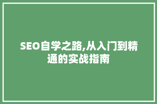 SEO自学之路,从入门到精通的实战指南