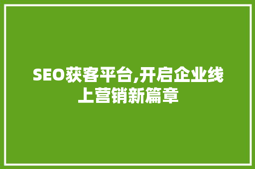 SEO获客平台,开启企业线上营销新篇章
