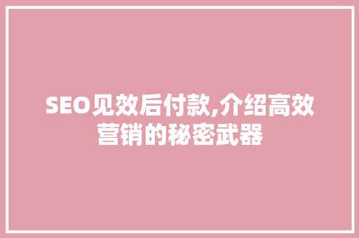 SEO见效后付款,介绍高效营销的秘密武器
