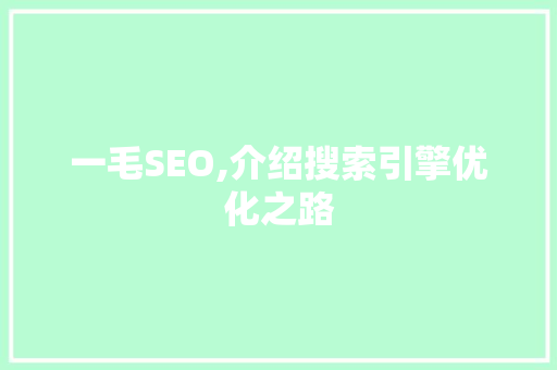 一毛SEO,介绍搜索引擎优化之路