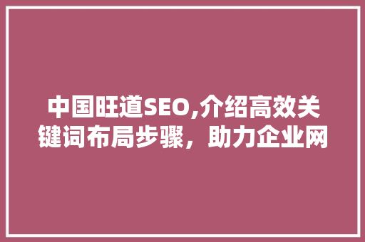 中国旺道SEO,介绍高效关键词布局步骤，助力企业网络营销