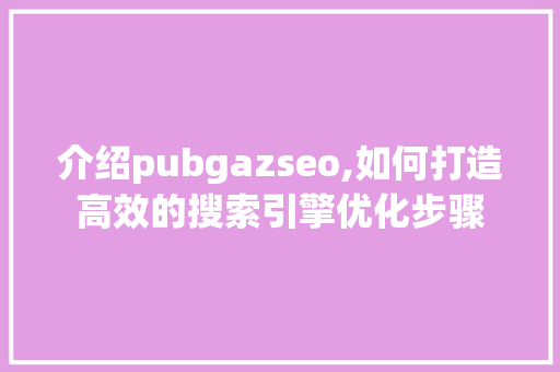介绍pubgazseo,如何打造高效的搜索引擎优化步骤