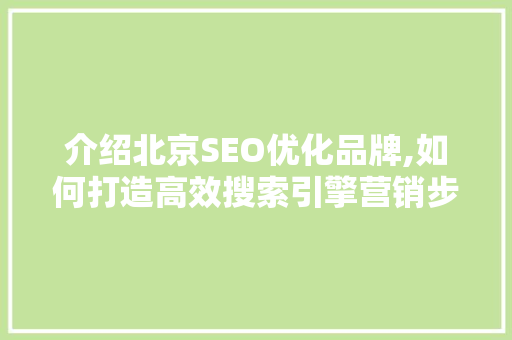 介绍北京SEO优化品牌,如何打造高效搜索引擎营销步骤