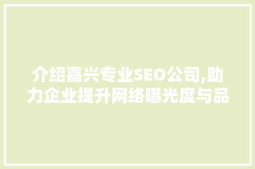 介绍嘉兴专业SEO公司,助力企业提升网络曝光度与品牌影响力