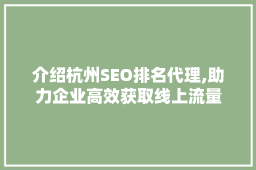介绍杭州SEO排名代理,助力企业高效获取线上流量