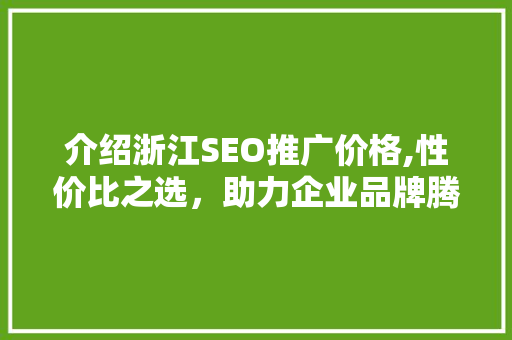介绍浙江SEO推广价格,性价比之选，助力企业品牌腾飞