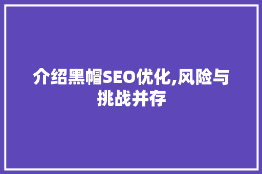 介绍黑帽SEO优化,风险与挑战并存