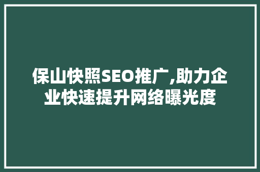 保山快照SEO推广,助力企业快速提升网络曝光度  第1张