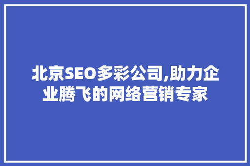 北京SEO多彩公司,助力企业腾飞的网络营销专家