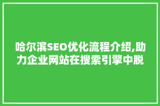 哈尔滨SEO优化流程介绍,助力企业网站在搜索引擎中脱颖而出