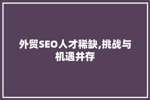 外贸SEO人才稀缺,挑战与机遇并存