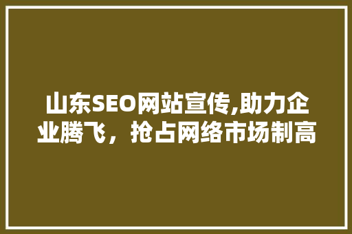 山东SEO网站宣传,助力企业腾飞，抢占网络市场制高点  第1张