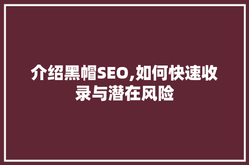 介绍黑帽SEO,如何快速收录与潜在风险