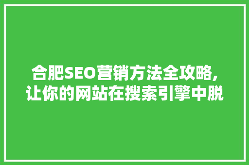 合肥SEO营销方法全攻略,让你的网站在搜索引擎中脱颖而出