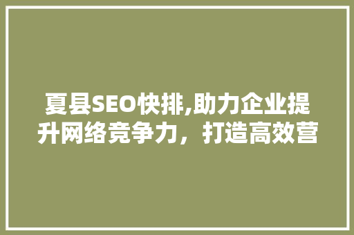 夏县SEO快排,助力企业提升网络竞争力，打造高效营销步骤