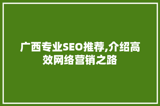 广西专业SEO推荐,介绍高效网络营销之路