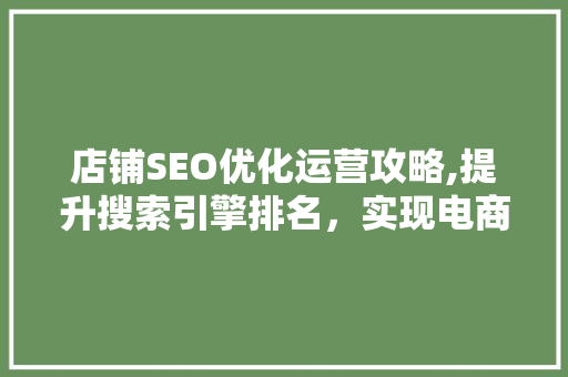 店铺SEO优化运营攻略,提升搜索引擎排名，实现电商增长  第1张