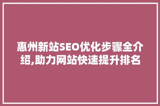 惠州新站SEO优化步骤全介绍,助力网站快速提升排名