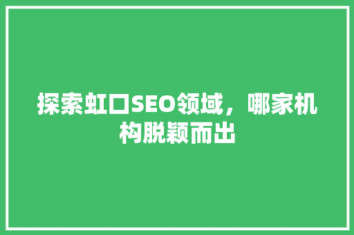 探索虹口SEO领域，哪家机构脱颖而出
