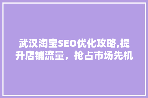 武汉淘宝SEO优化攻略,提升店铺流量，抢占市场先机
