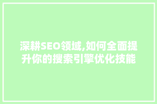 深耕SEO领域,如何全面提升你的搜索引擎优化技能