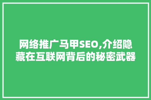 网络推广马甲SEO,介绍隐藏在互联网背后的秘密武器