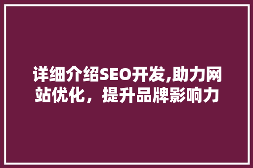 详细介绍SEO开发,助力网站优化，提升品牌影响力  第1张