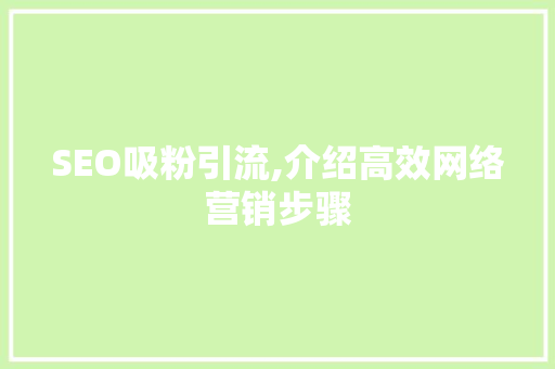 SEO吸粉引流,介绍高效网络营销步骤