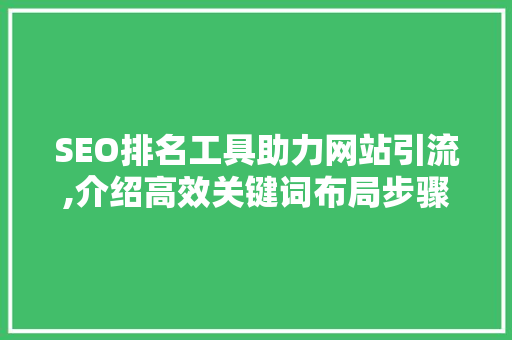 SEO排名工具助力网站引流,介绍高效关键词布局步骤