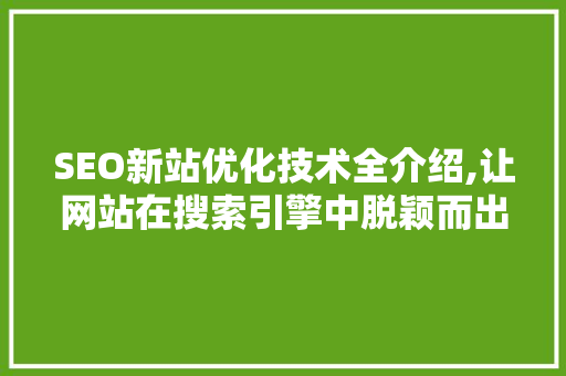 SEO新站优化技术全介绍,让网站在搜索引擎中脱颖而出