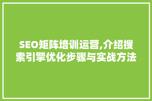 SEO矩阵培训运营,介绍搜索引擎优化步骤与实战方法