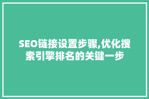 SEO链接设置步骤,优化搜索引擎排名的关键一步