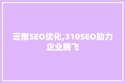 云南SEO优化,310SEO助力企业腾飞