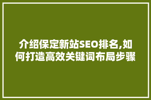 介绍保定新站SEO排名,如何打造高效关键词布局步骤