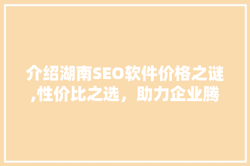 介绍湖南SEO软件价格之谜,性价比之选，助力企业腾飞  第1张