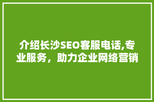 介绍长沙SEO客服电话,专业服务，助力企业网络营销新篇章  第1张