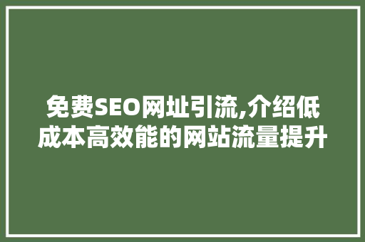 免费SEO网址引流,介绍低成本高效能的网站流量提升步骤