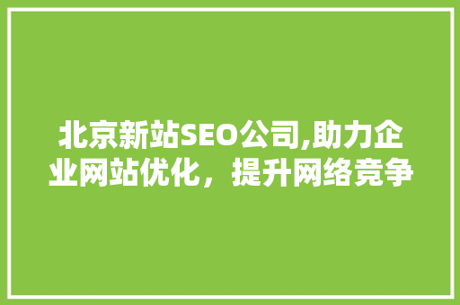 北京新站SEO公司,助力企业网站优化，提升网络竞争力  第1张