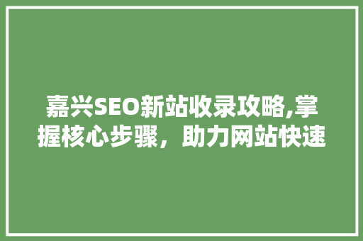 嘉兴SEO新站收录攻略,掌握核心步骤，助力网站快速上排名